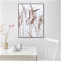 Picture of Wheat in the Wind  _GroupedProduct_Rectangle_Portrait_Photography _GroupedProduct_Rectangle_Portrait_Canvas_Framed_