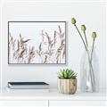 Picture of Wheat in the Wind II _GroupedProduct_Rectangle_Landscape_Photography _GroupedProduct_Rectangle_Landscape_Canvas_Framed_