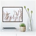 Picture of Wheat in the Wind II _GroupedProduct_Rectangle_Landscape_Photography _GroupedProduct_Rectangle_Landscape_Canvas_Framed_