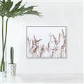 Picture of Wheat in the Wind II _GroupedProduct_Rectangle_Landscape_Photography _GroupedProduct_Rectangle_Landscape_Canvas_Framed_