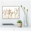 Picture of Wheat in the Wind IV _GroupedProduct_Rectangle_Landscape_Photography _GroupedProduct_Rectangle_Landscape_Canvas_Framed_