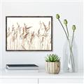 Picture of Wheat in the Wind IV _GroupedProduct_Rectangle_Landscape_Photography _GroupedProduct_Rectangle_Landscape_Canvas_Framed_