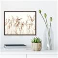 Picture of Wheat in the Wind IV _GroupedProduct_Rectangle_Landscape_Photography _GroupedProduct_Rectangle_Landscape_Canvas_Framed_