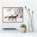 Picture of Winter Deers _GroupedProduct_Rectangle_Landscape_Photography _GroupedProduct_Rectangle_Landscape_Canvas_Framed_