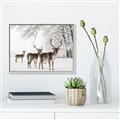 Picture of Winter Deers _GroupedProduct_Rectangle_Landscape_Photography _GroupedProduct_Rectangle_Landscape_Canvas_Framed_