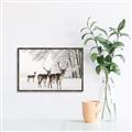 Picture of Winter Deers _GroupedProduct_Rectangle_Landscape_Photography _GroupedProduct_Rectangle_Landscape_Canvas_Framed_