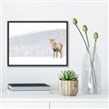 Picture of Winter Stag _GroupedProduct_Rectangle_Landscape_Canvas_Framed_