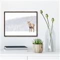 Picture of Winter Stag _GroupedProduct_Rectangle_Landscape_Canvas_Framed_