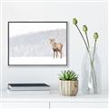 Picture of Winter Stag _GroupedProduct_Rectangle_Landscape_Canvas_Framed_