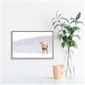 Picture of Winter Stag _GroupedProduct_Rectangle_Landscape_Canvas_Framed_