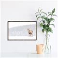 Picture of Winter Stag _GroupedProduct_Rectangle_Landscape_Canvas_Framed_