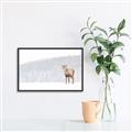 Picture of Winter Stag _GroupedProduct_Rectangle_Landscape_Canvas_Framed_