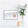 Picture of Winter Stag _GroupedProduct_Rectangle_Landscape_Canvas_Framed_