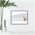 Picture of Winter Stag _GroupedProduct_Rectangle_Landscape_Canvas_Framed_