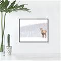 Picture of Winter Stag _GroupedProduct_Rectangle_Landscape_Canvas_Framed_