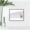 Picture of Winter Stag _GroupedProduct_Rectangle_Landscape_Canvas_Framed_