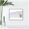 Picture of Winter Stag _GroupedProduct_Rectangle_Landscape_Canvas_Framed_