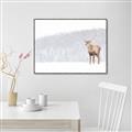 Picture of Winter Stag _GroupedProduct_Rectangle_Landscape_Canvas_Framed_