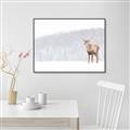 Picture of Winter Stag _GroupedProduct_Rectangle_Landscape_Canvas_Framed_