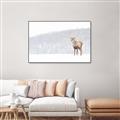 Picture of Winter Stag _GroupedProduct_Rectangle_Landscape_Canvas_Framed_