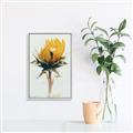 Picture of Yellow Bloom _GroupedProduct_Rectangle_Portrait_Photography _GroupedProduct_Rectangle_Portrait_Canvas_Framed_