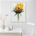 Picture of Yellow Bloom _GroupedProduct_Rectangle_Portrait_Photography _GroupedProduct_Rectangle_Portrait_Canvas_Framed_