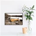 Picture of Yellow Canoe  _GroupedProduct_Rectangle_Landscape_Photography _GroupedProduct_Rectangle_Landscape_Canvas_Framed_