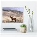 Picture of Lone Horse  _GroupedProduct_Rectangle_Landscape_Photography _GroupedProduct_Rectangle_Landscape_Unframed_Print_Only_
