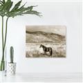 Picture of Lone Horse  _GroupedProduct_Rectangle_Landscape_Photography _GroupedProduct_Rectangle_Landscape_Unframed_Print_Only_