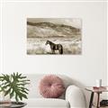 Picture of Lone Horse  _GroupedProduct_Rectangle_Landscape_Photography _GroupedProduct_Rectangle_Landscape_Unframed_Print_Only_