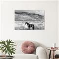 Picture of Lone Horse  _GroupedProduct_Rectangle_Landscape_Photography _GroupedProduct_Rectangle_Landscape_Unframed_Print_Only_
