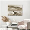Picture of Lone Horse  _GroupedProduct_Rectangle_Landscape_Photography _GroupedProduct_Rectangle_Landscape_Unframed_Print_Only_