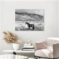 Picture of Lone Horse  _GroupedProduct_Rectangle_Landscape_Photography _GroupedProduct_Rectangle_Landscape_Unframed_Print_Only_