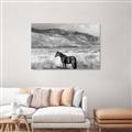 Picture of Lone Horse  _GroupedProduct_Rectangle_Landscape_Photography _GroupedProduct_Rectangle_Landscape_Unframed_Print_Only_