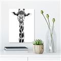 Picture of Long Neck II _GroupedProduct_Rectangle_Portrait_Photography _GroupedProduct_Rectangle_Portrait_Unframed_Print_Only_