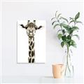 Picture of Long Neck II _GroupedProduct_Rectangle_Portrait_Photography _GroupedProduct_Rectangle_Portrait_Unframed_Print_Only_