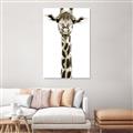 Picture of Long Neck II _GroupedProduct_Rectangle_Portrait_Photography _GroupedProduct_Rectangle_Portrait_Unframed_Print_Only_