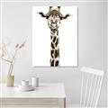 Picture of Long Neck II _GroupedProduct_Rectangle_Portrait_Photography _GroupedProduct_Rectangle_Portrait_Unframed_Print_Only_