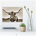 Picture of Longhorn Bull _GroupedProduct_Rectangle_Landscape_Photography _GroupedProduct_Rectangle_Landscape_Unframed_Print_Only_