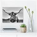 Picture of Longhorn Bull _GroupedProduct_Rectangle_Landscape_Photography _GroupedProduct_Rectangle_Landscape_Unframed_Print_Only_