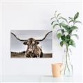 Picture of Longhorn Bull _GroupedProduct_Rectangle_Landscape_Photography _GroupedProduct_Rectangle_Landscape_Unframed_Print_Only_