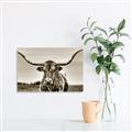 Picture of Longhorn Bull _GroupedProduct_Rectangle_Landscape_Photography _GroupedProduct_Rectangle_Landscape_Unframed_Print_Only_