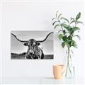 Picture of Longhorn Bull _GroupedProduct_Rectangle_Landscape_Photography _GroupedProduct_Rectangle_Landscape_Unframed_Print_Only_
