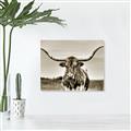 Picture of Longhorn Bull _GroupedProduct_Rectangle_Landscape_Photography _GroupedProduct_Rectangle_Landscape_Unframed_Print_Only_