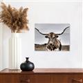 Picture of Longhorn Bull _GroupedProduct_Rectangle_Landscape_Photography _GroupedProduct_Rectangle_Landscape_Unframed_Print_Only_