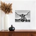 Picture of Longhorn Bull _GroupedProduct_Rectangle_Landscape_Photography _GroupedProduct_Rectangle_Landscape_Unframed_Print_Only_