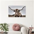 Picture of Longhorn Bull _GroupedProduct_Rectangle_Landscape_Photography _GroupedProduct_Rectangle_Landscape_Unframed_Print_Only_