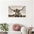 Picture of Longhorn Bull _GroupedProduct_Rectangle_Landscape_Photography _GroupedProduct_Rectangle_Landscape_Unframed_Print_Only_