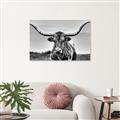 Picture of Longhorn Bull _GroupedProduct_Rectangle_Landscape_Photography _GroupedProduct_Rectangle_Landscape_Unframed_Print_Only_
