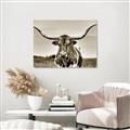 Picture of Longhorn Bull _GroupedProduct_Rectangle_Landscape_Photography _GroupedProduct_Rectangle_Landscape_Unframed_Print_Only_